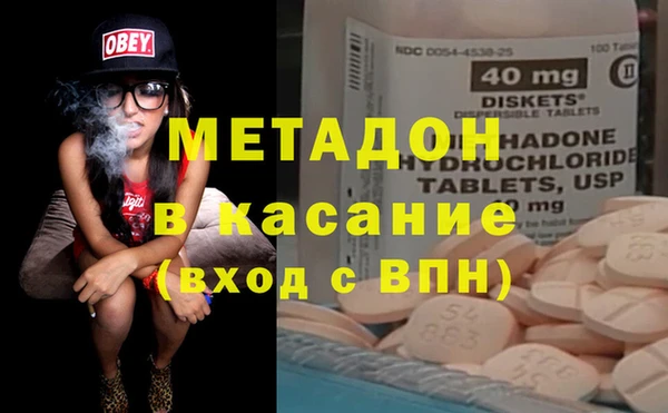 индика Абаза