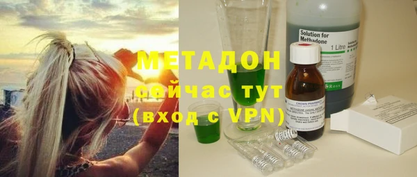 индика Абаза
