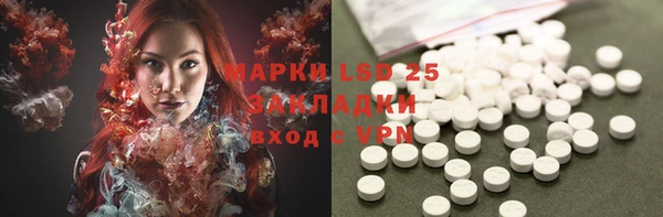 индика Абаза
