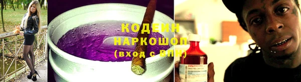 индика Абаза