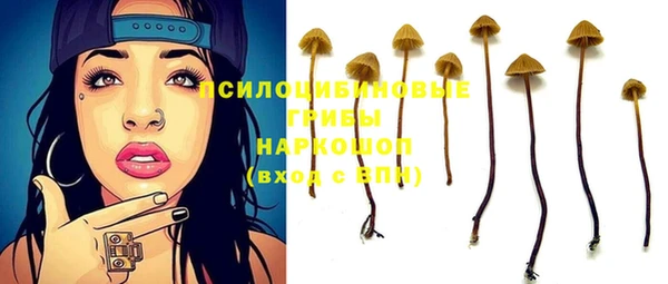 индика Абаза