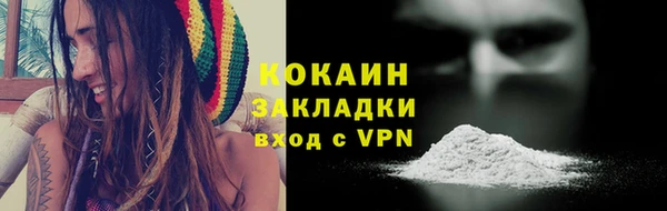индика Абаза