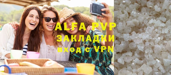 индика Абаза