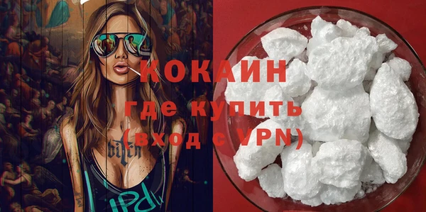 индика Абаза