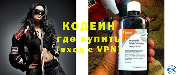 индика Абаза