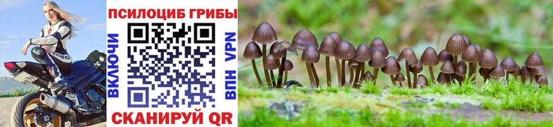 Галлюциногенные грибы GOLDEN TEACHER  Ува 